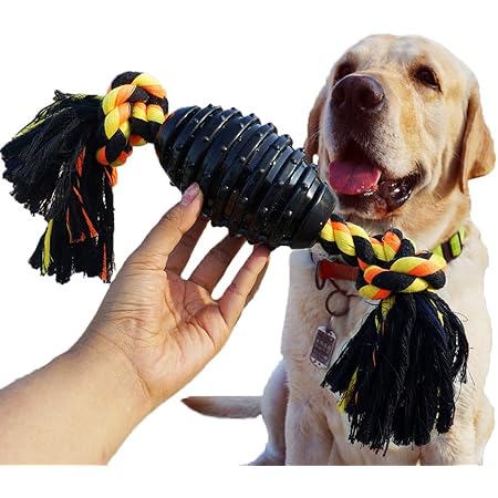 chew proof dog toys