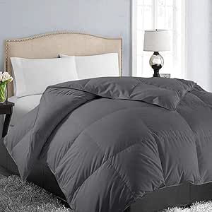 EASELAND Queen Soft Quilted Down Alternative Comforter All Season Hotel Collection