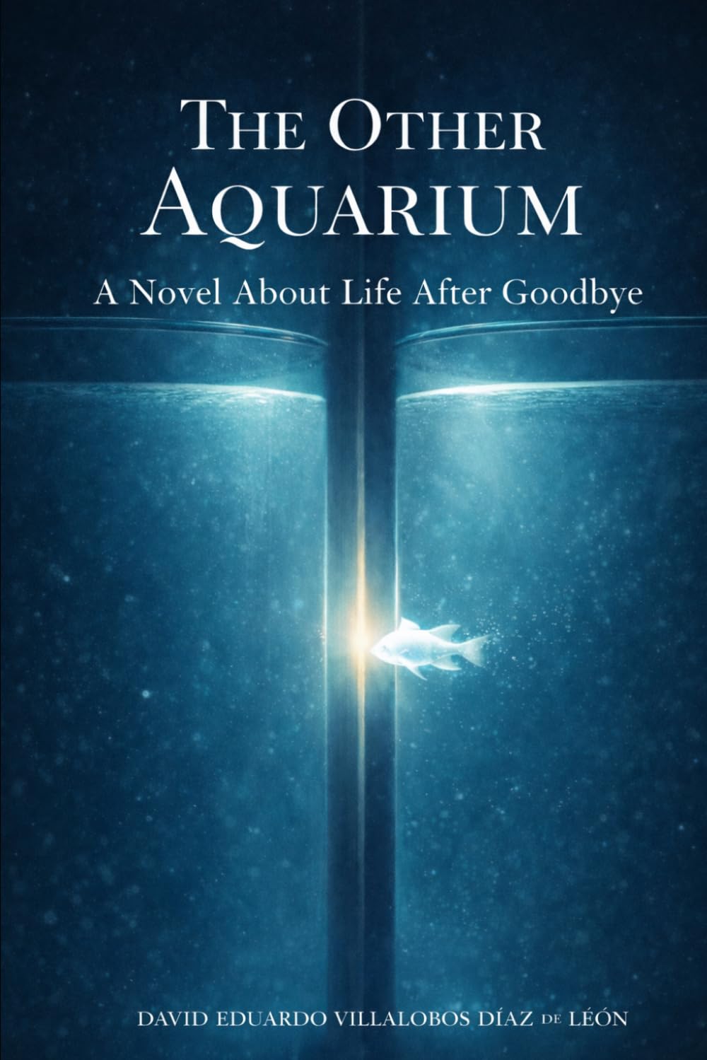 The Other Aquarium: A Novel About Life After Goodbye