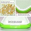 4 Layers Sprout Trays with Extra Strength Plastic Shelf Soil-Free Healthy Wheatgrass Seeds Grower & Storage Trays for Garden Home Office #1