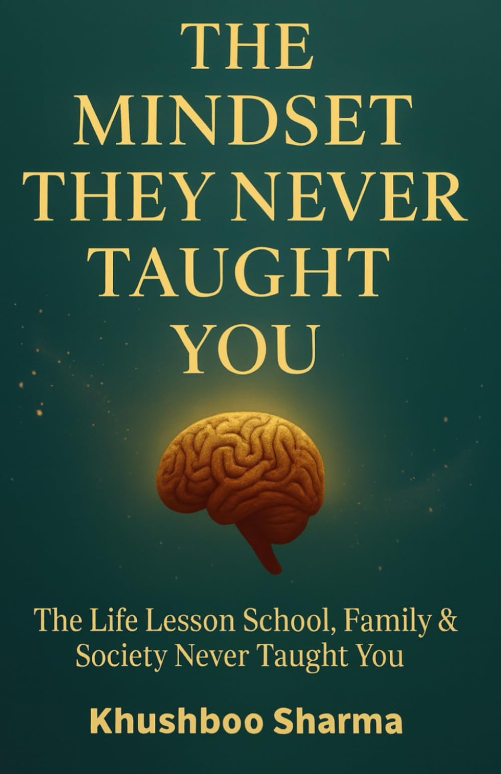The Mindset They Never Taught You: The Life Lessons School, Family & Society Never Taught You.