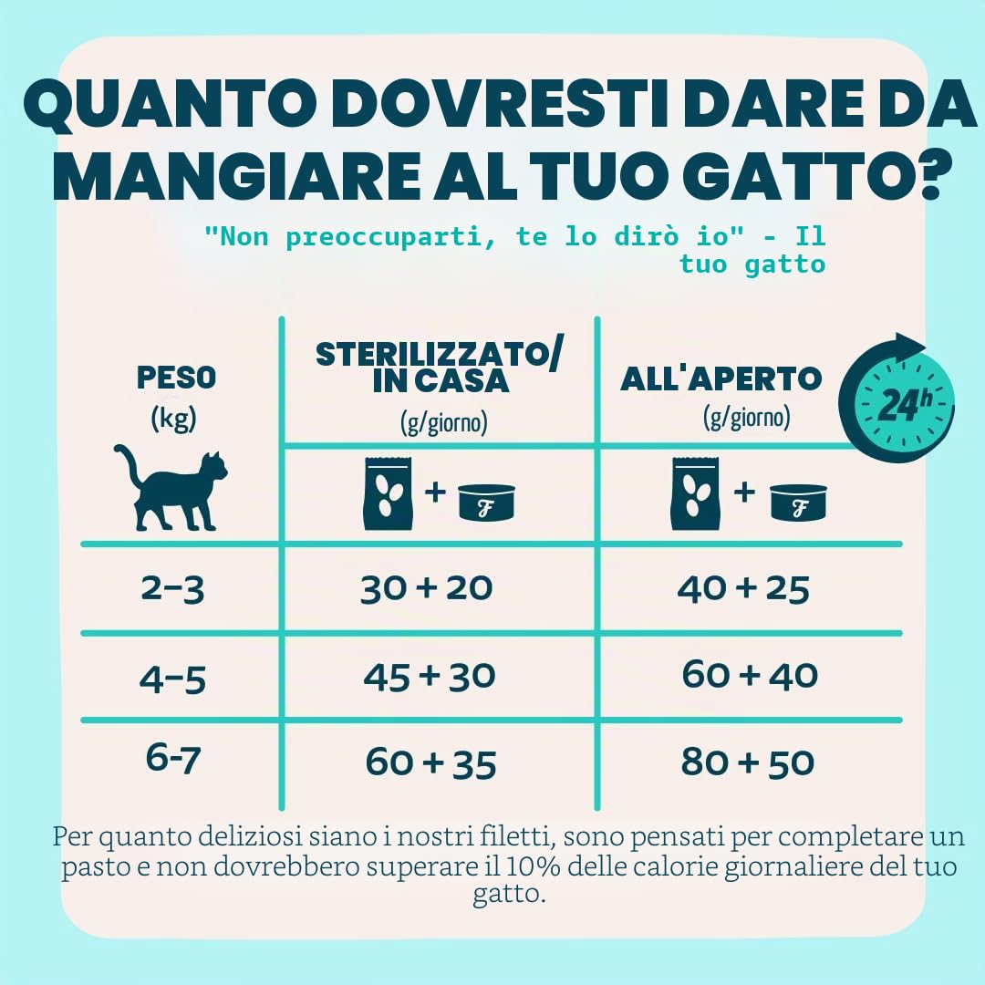 Edgard & Cooper cibo umido per gatti, (Tonno/Gamberetti Fresco, 70g x 24), Filettini per gatti, sterilizzati o attivo, carne fresca e ingredienti naturali, senza cereali, senza zuccheri aggiunti