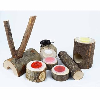 おにぎり　新品未使用品　昆虫用えさ台　クワリウム　希少品　一点物 おにぎり様専用 新品未使用品 昆虫用えさ台 クワリウム 希少品