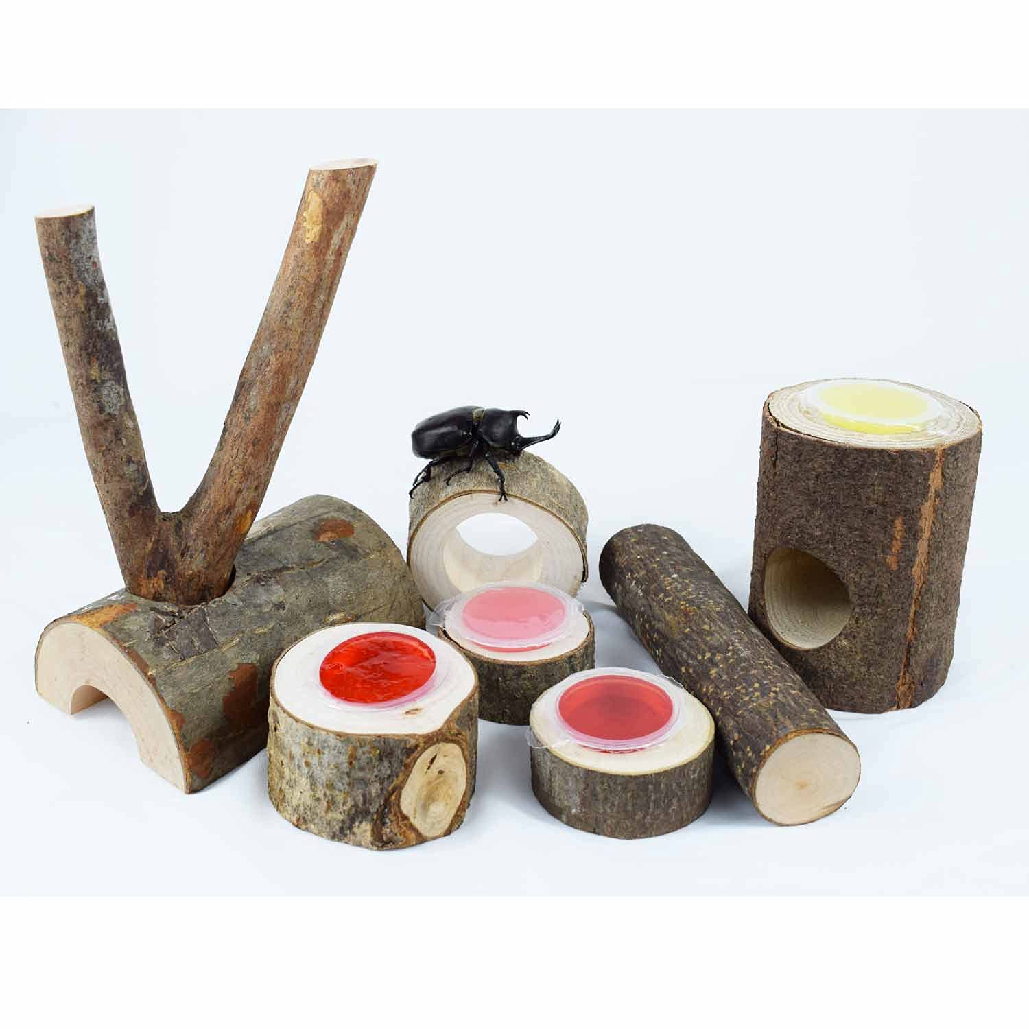 Amazon | 昆虫ゼリー 18g用 エサ皿甲虫の餌やり台 カブトムシクワガタ