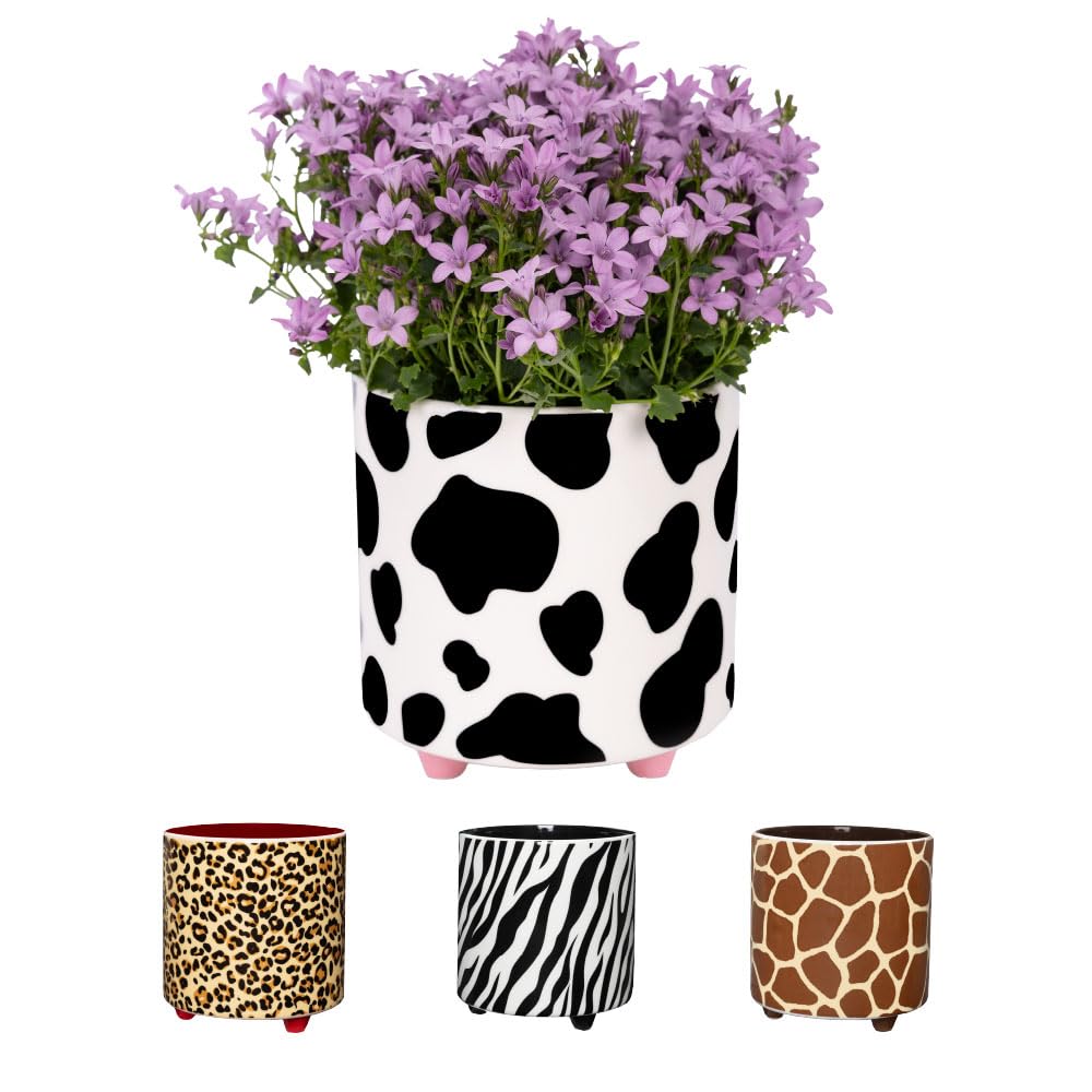 Fisura - Original Plant Pot "Cow" - Indoor Ceramic Planter with Legs for Cactus & Succulents, Decorative Flower Pot, Gift Idea for Plant Lovers, 13 x 12.5 cm