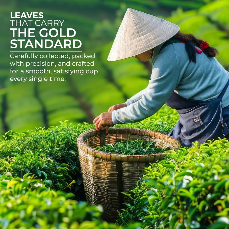 Image of Marvel Gold Tea 250g with Kadak CTC, Handpicked Strong Chai From Assam & Darjeeling, Refreshing Aroma & Rich Taste - Black Tea
