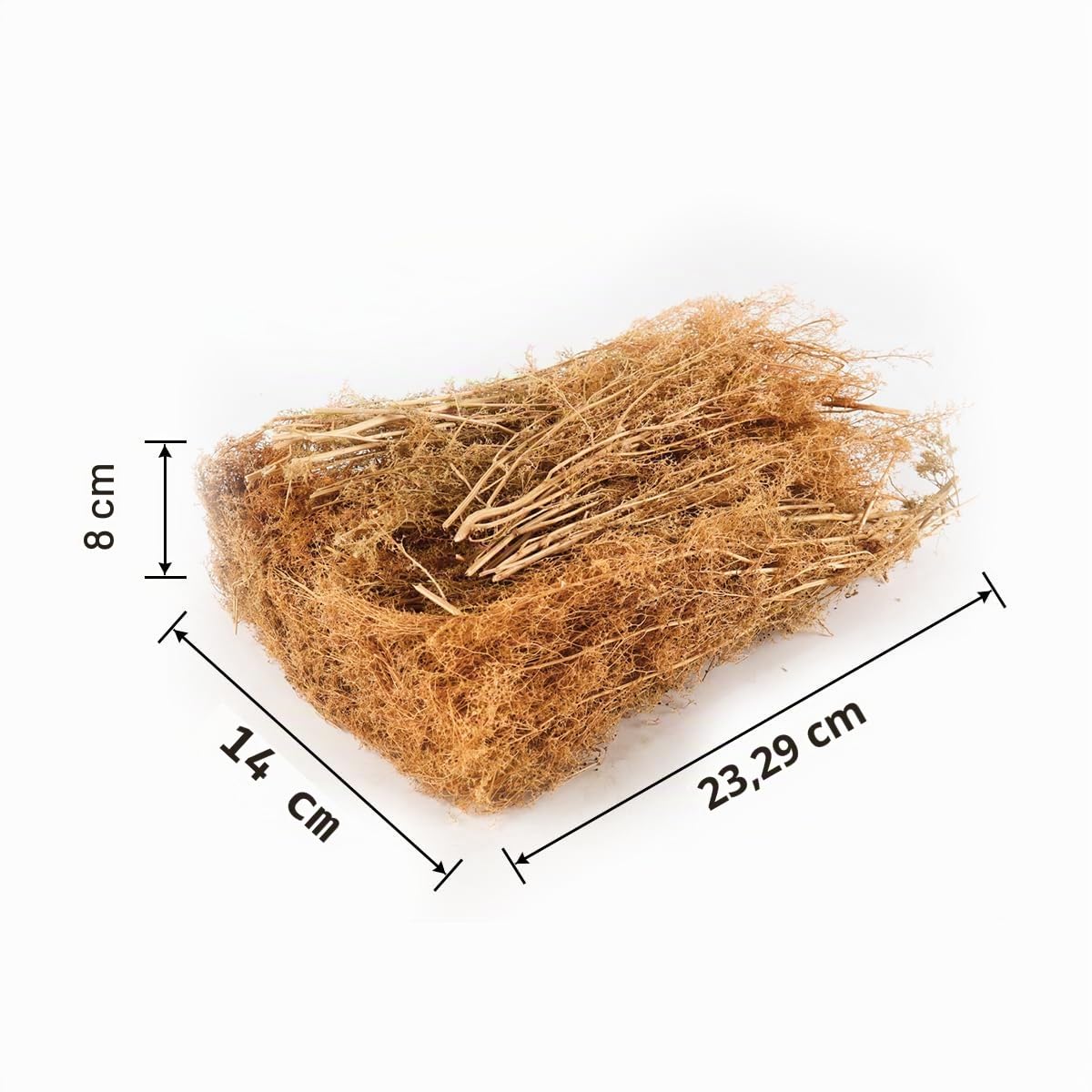 Coffret d'arbres en mousse de mer, matériaux pour maquettes, buissons miniatures avec branches pour diorama, bricolage, aménagement paysager