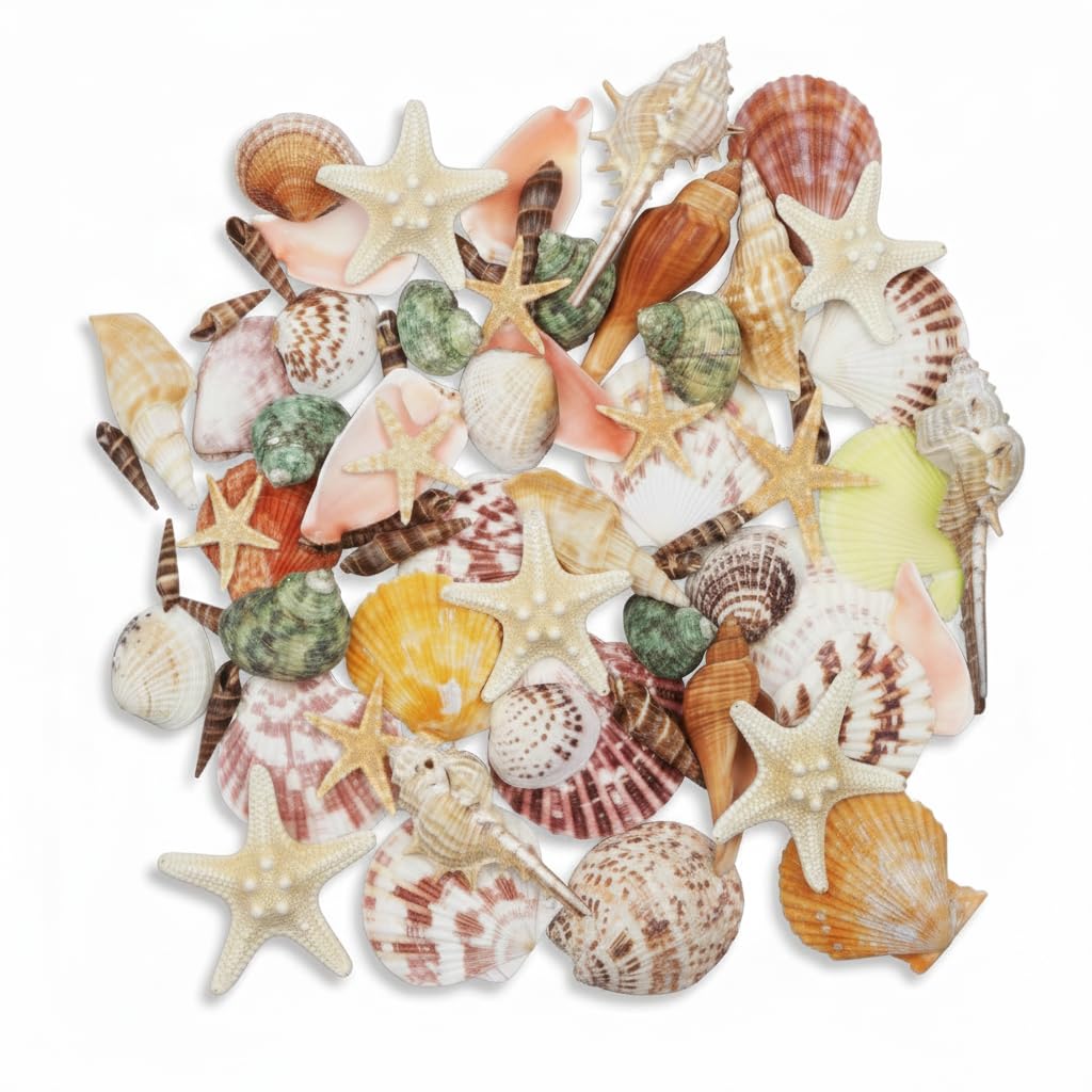 Crafties Multicolor 70+ Pcs Natural Seashells, Mixed Starfish Sea Shells For Crafts, Various Sizes Ocean Shells Conch For Decorating, Beach Theme Party, Diy Crafts, Fish Tank Filling, Home Decor, Wedding Decoration