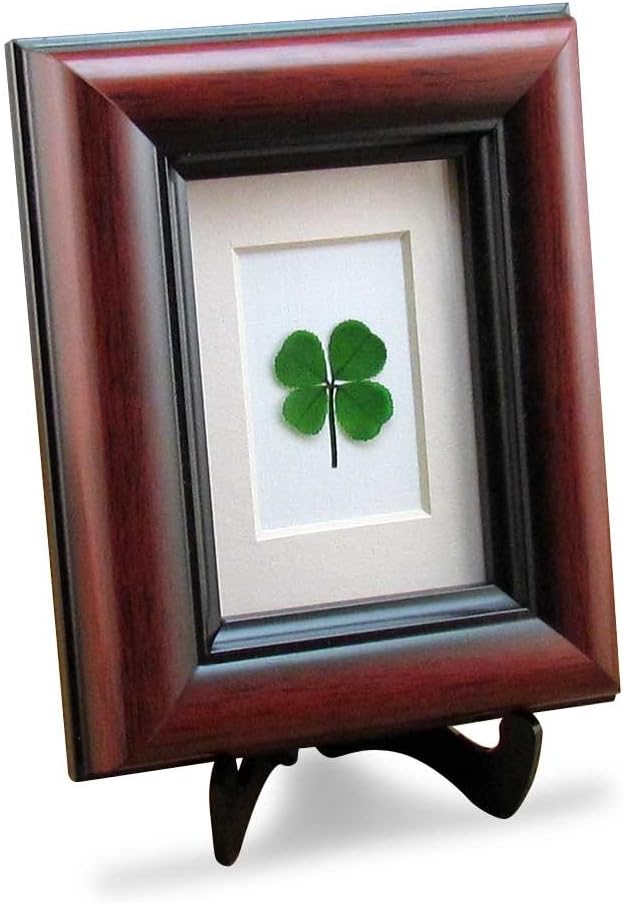 Clovers Online Good Luck Mahogany Frame with a Genuine Four Leaf Clover for Tabletop or Wall Mount, 4 1/8" x 5 1/8"