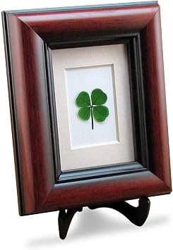 Four Leaf Clover Good Luck Mahogany Frame, 4 1/8" x 5 1/8" | Preserved Four Leaf Clover, Tabletop or Wall Mount