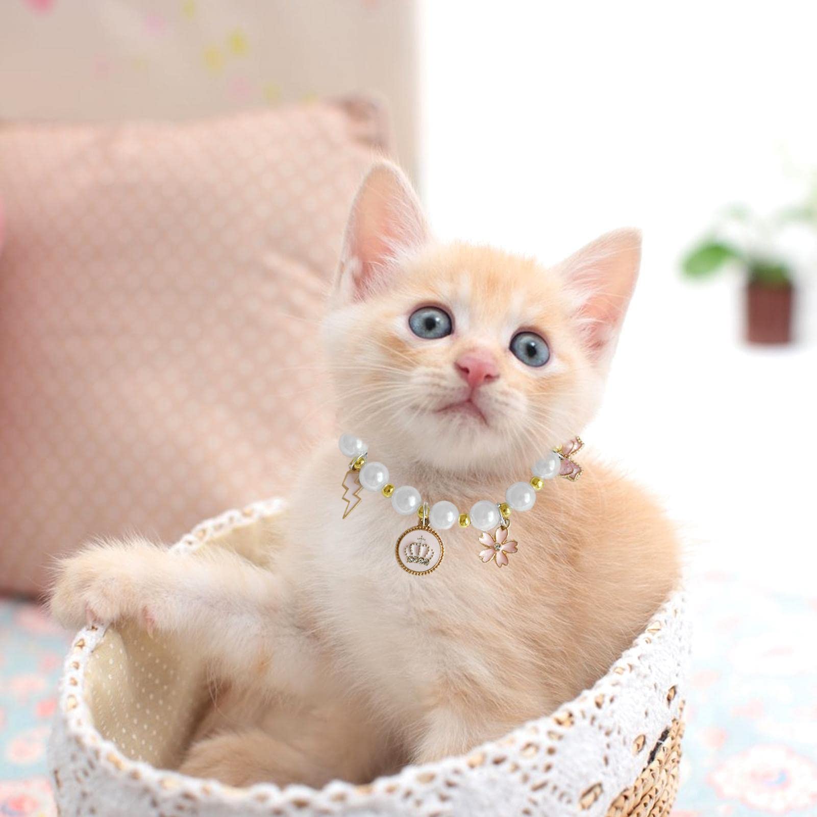 小型犬用、猫ちやんにも。 高品質真珠のネックレス。値下げしました！。 小型犬用、猫ちやんにも。 高品質真珠のネックレス。値下げしました！。