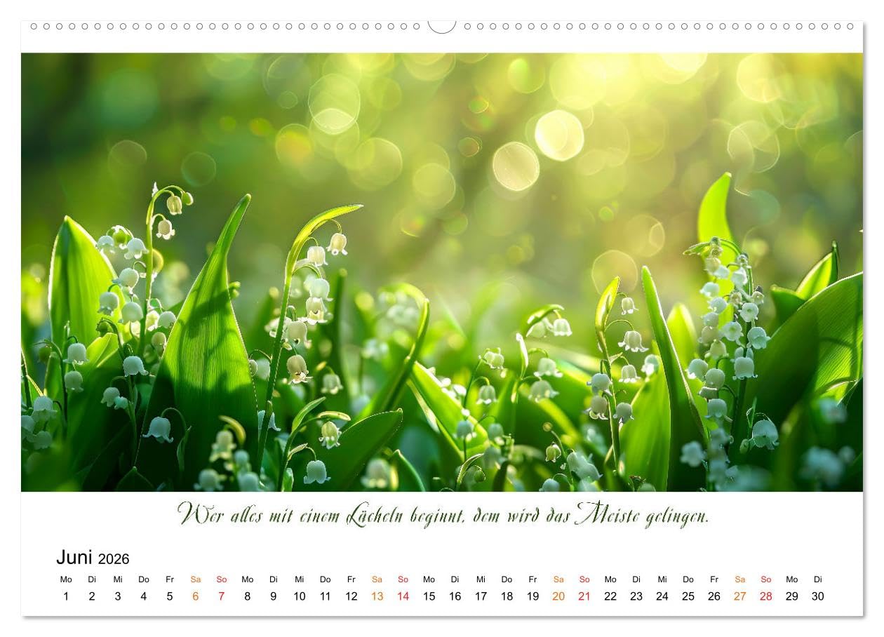 Freu Dich Motivations-Kalender (hochwertiger Premium Wandkalender 2026 DIN A2 quer), Kunstdruck in Hochglanz: Blumen und Positivität, Inspiration und Lebensfreude. (CALVENDO Menschen)