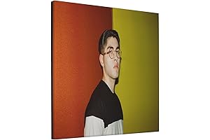 QANCOSI Kevin Kaarl Wall Art: Elevate Your Living Space with Modern Elegance