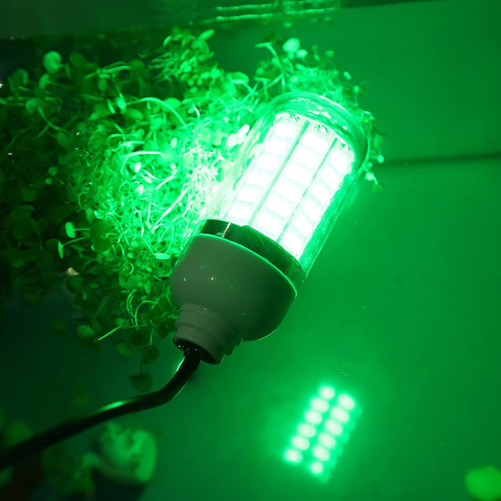 Światło wędkarskie, kształt oczu LED, wędkarstwo, podwodne, morskie, łódź, lampa, narzędzie do ryb, akcesoria do wędkowania na świeżym powietrzu