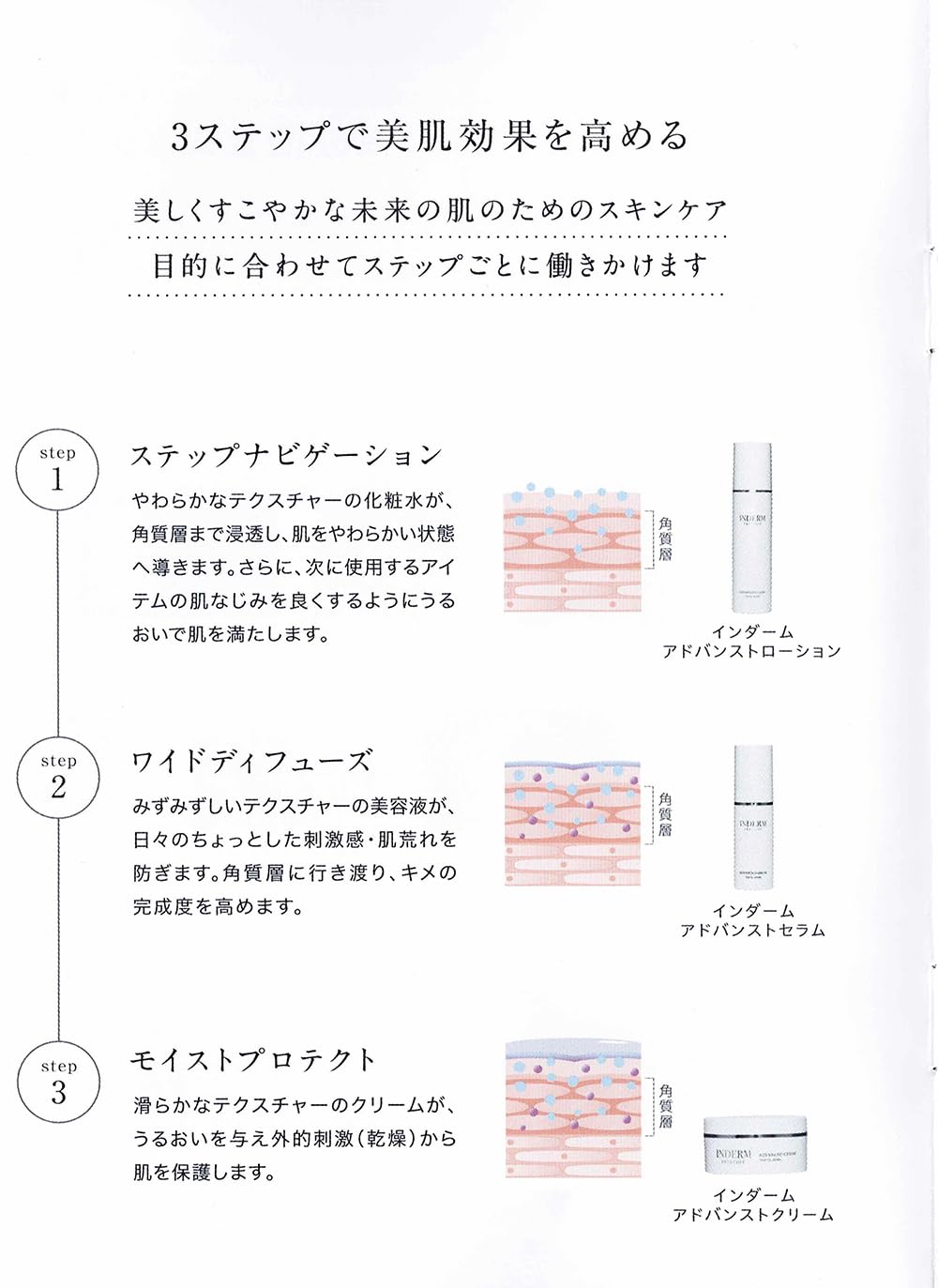 Amazon | エステツイン☆インダーム プレステージ インダーム
