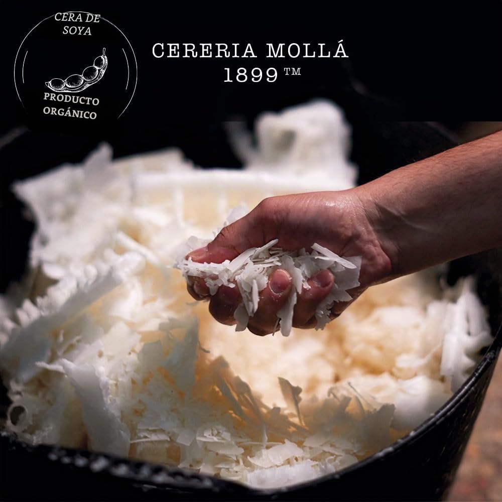 CERERÍA MOLLA 1899 | Vela XL Moroccan Cedar Aromática de 3 Mechas | 80 Horas de Duración | Fragancias Naturales | Envases Reciclables | Artesanal
