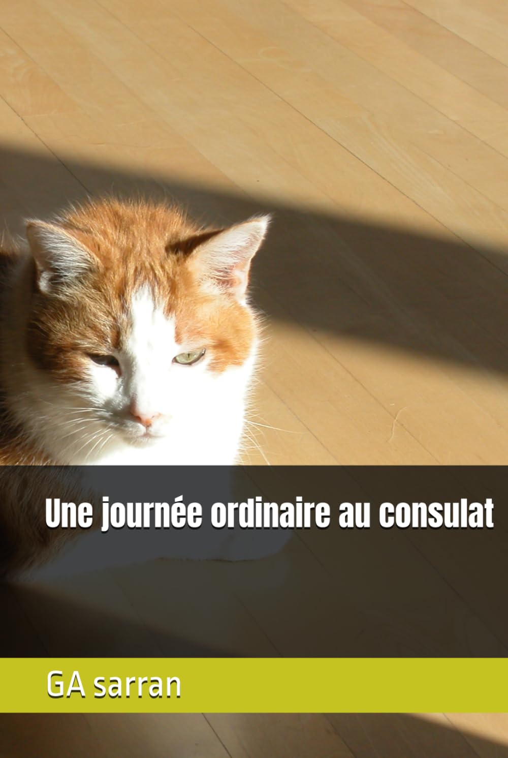 Une journée ordinaire au consulat