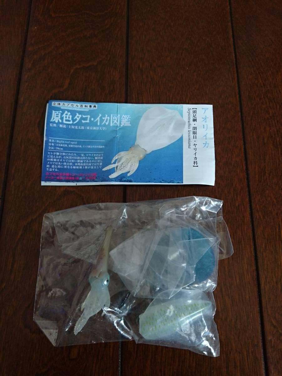 ♯Fui29KZ原色タコ・イカ図鑑シークレット入人気5種アオイガイ蛸