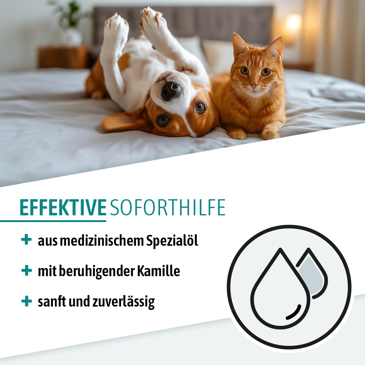 AniGo Huile anti-acariens pour chiens et chats 50 ml – Huile d'oreille nourrissante à la camomille contre les acariens – Soutien doux en cas de démangeaisons et oreilles irritées