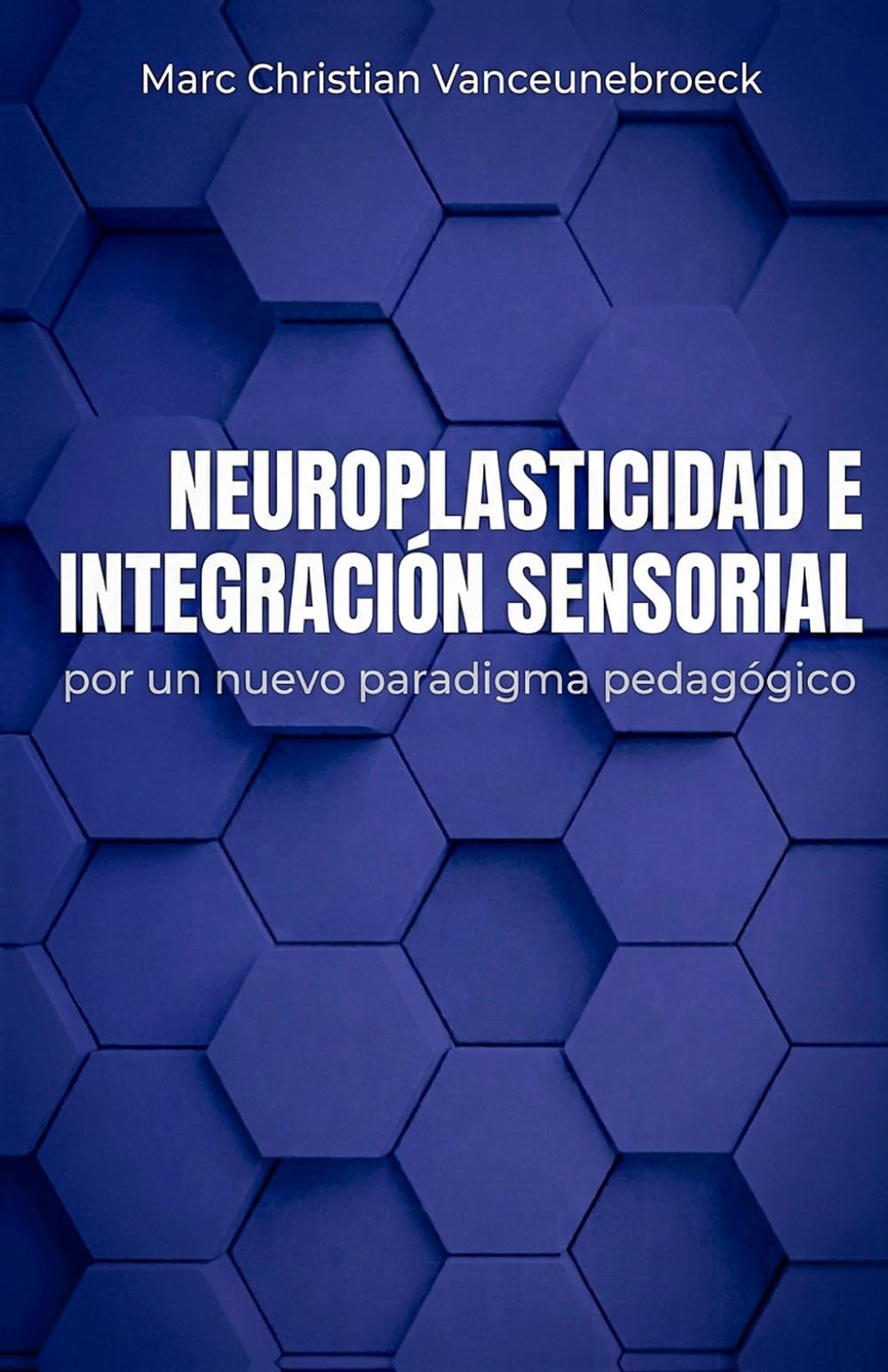 Neuroplasticidad e Integración Sensorial: Por un nuevo paradigma pedagógico