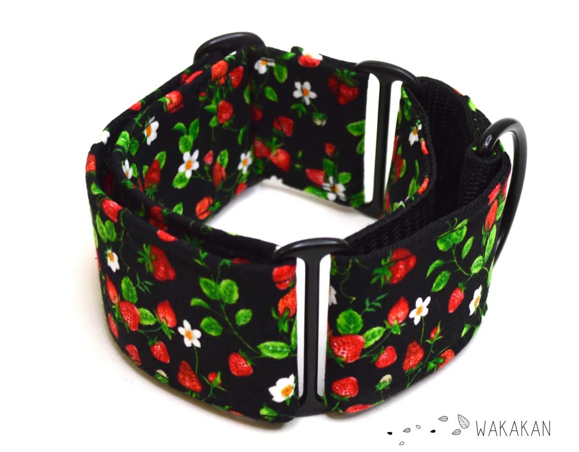 Collare per cani martingale: Strawberry Field, fatto a mano in Spagna da Wakakán