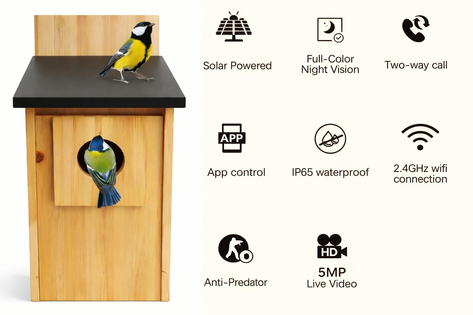 Smart Bird Box con fotocamera da 5 MP – Nido a energia solare per birdwatching dal vivo, rilevamento del movimento e acquisizione video, casetta per uccelli in legno resistente alle intemperie