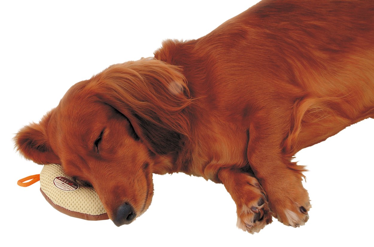Amazon.co.jp: ペティオ (Petio) 老犬介護用 床ずれ予防クッション