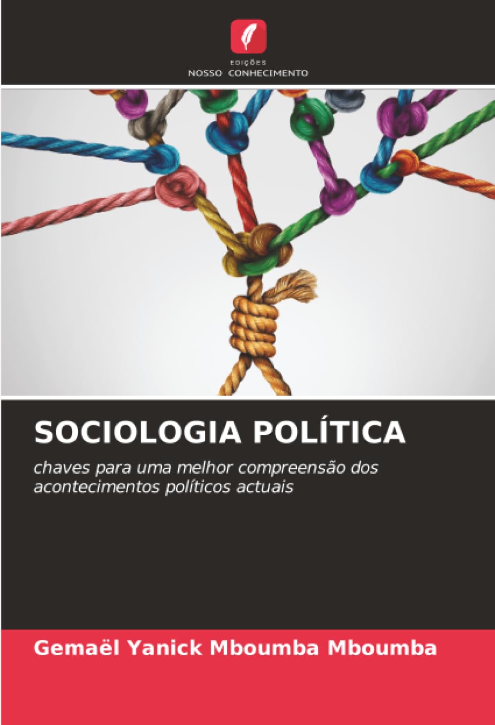 Sociologia Política: chaves para uma melhor compreensão dos acontecimentos políticos actuais