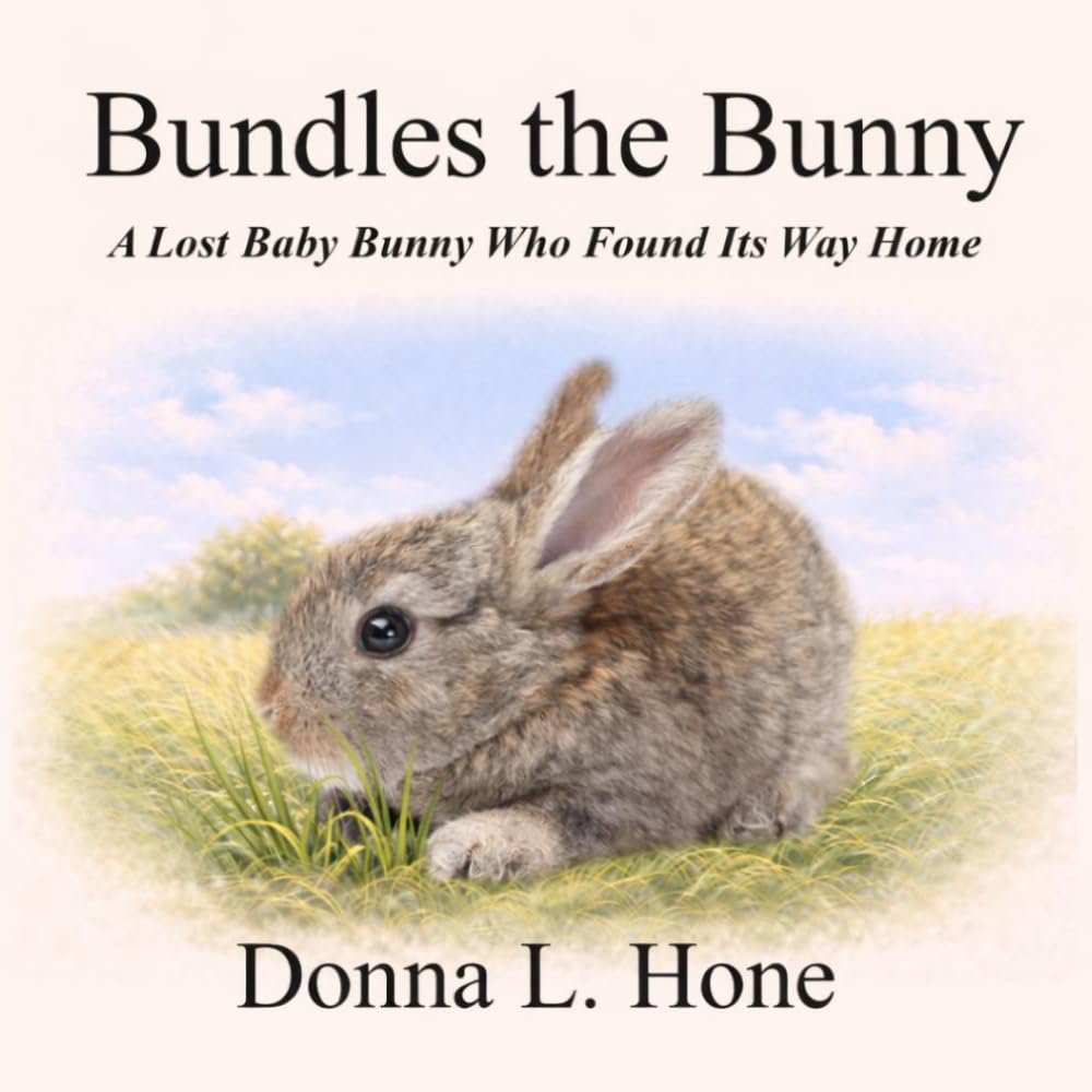 Bundles The Bunny: A Lost Bunny Who Found Its Way Home