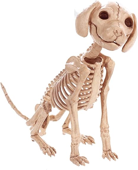 Slh Halloween Decorations Simulation Animal Skeleton Dog Skeleton Bone Bar Movies Haunted House Props Amazon Co Uk Home Kitchen Slh Halloween Decorations Simulation Animal Skeleton Dog Skeleton Bone Bar Movies Haunted House Props Amazon Co Uk Home Kitchen