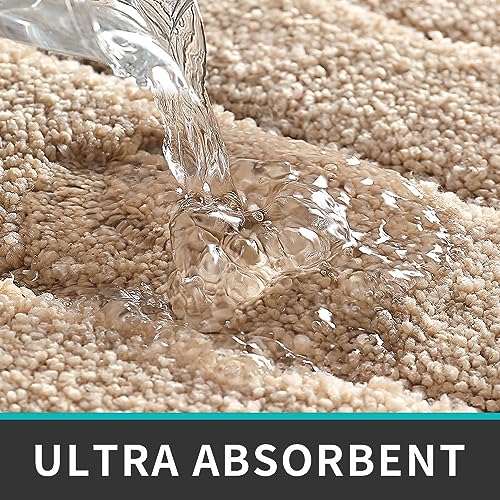 Dexi Bathroom Rugs Mats, Non-Slip Comfortable Bath Rug, Extra Soft And Absorbent Bath Mat, Bathroom Carpet For Tub, Shower, Bath Room,16"X24", Beige #TOP3