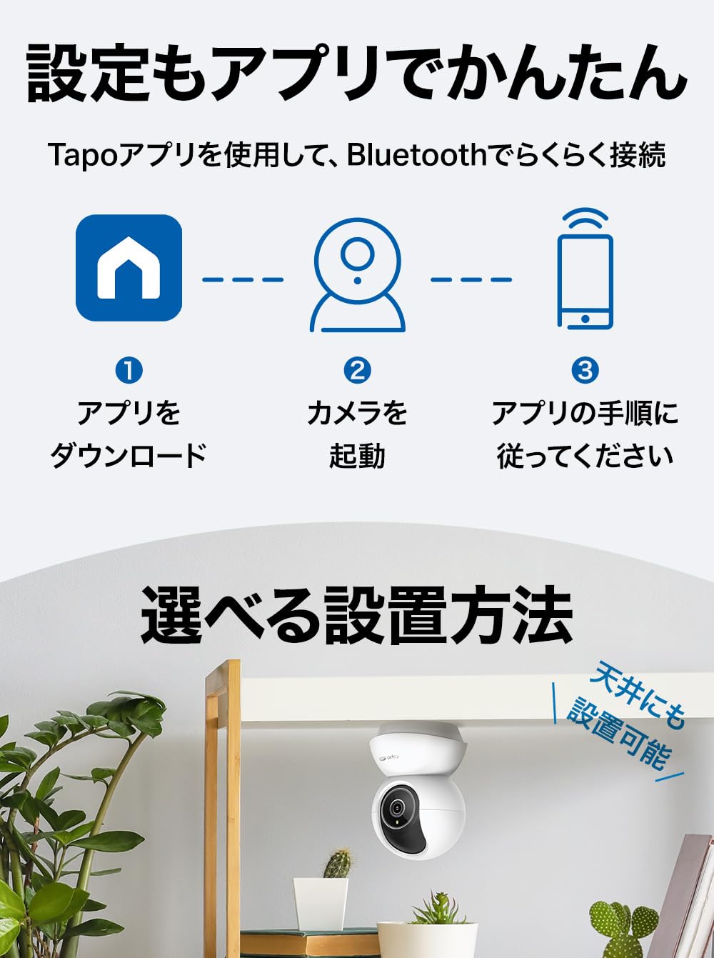 Amazon.co.jp: Tapo TP-Link Tapo C250 Pet Camera, Dog Surveillance