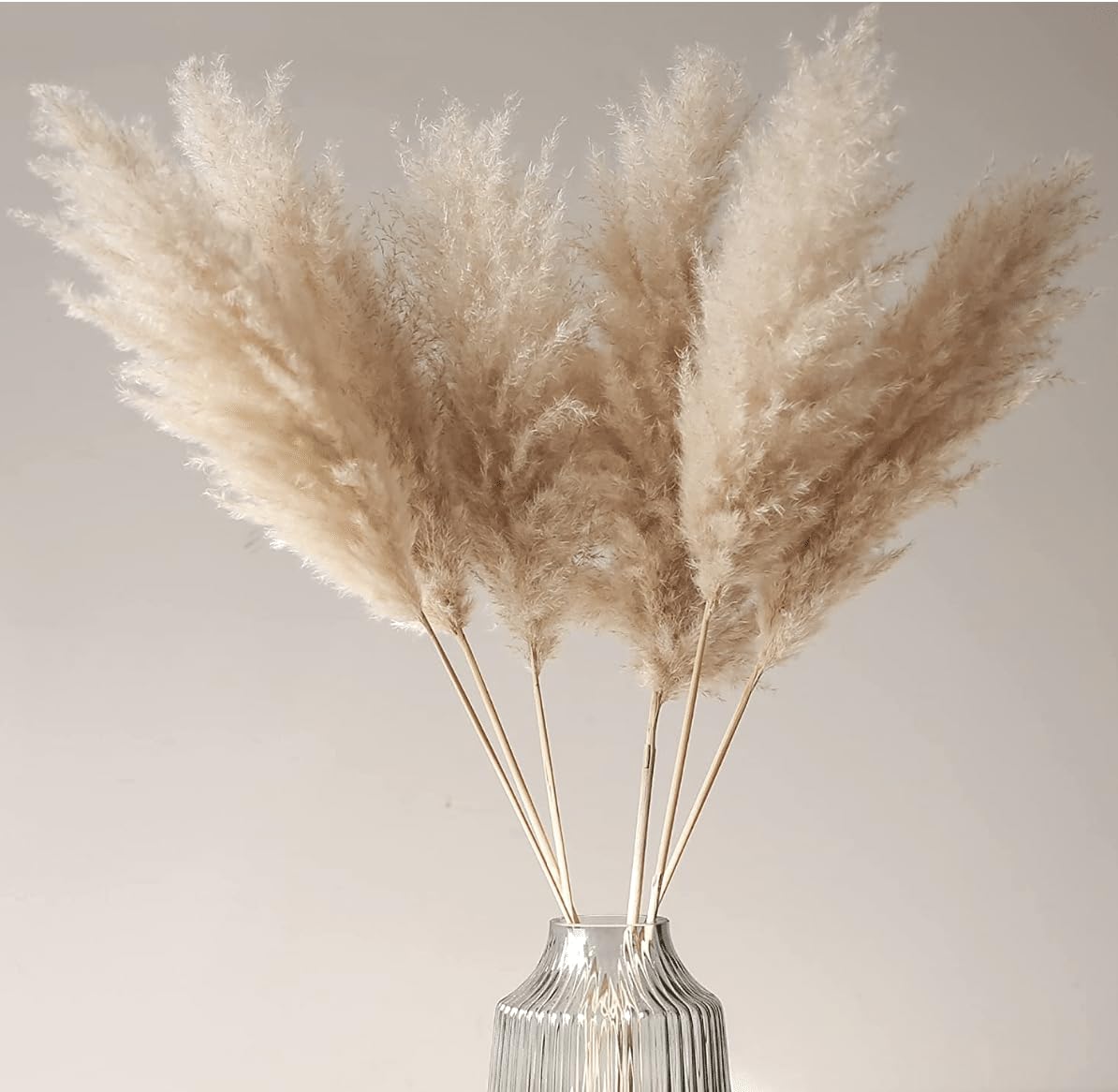 JOYNAGAR Boho Decor Dried Brown Pampas Grass for Decor 4 Pcs | 44cm | Dried Flowers Decorative Items for Home (Natural)