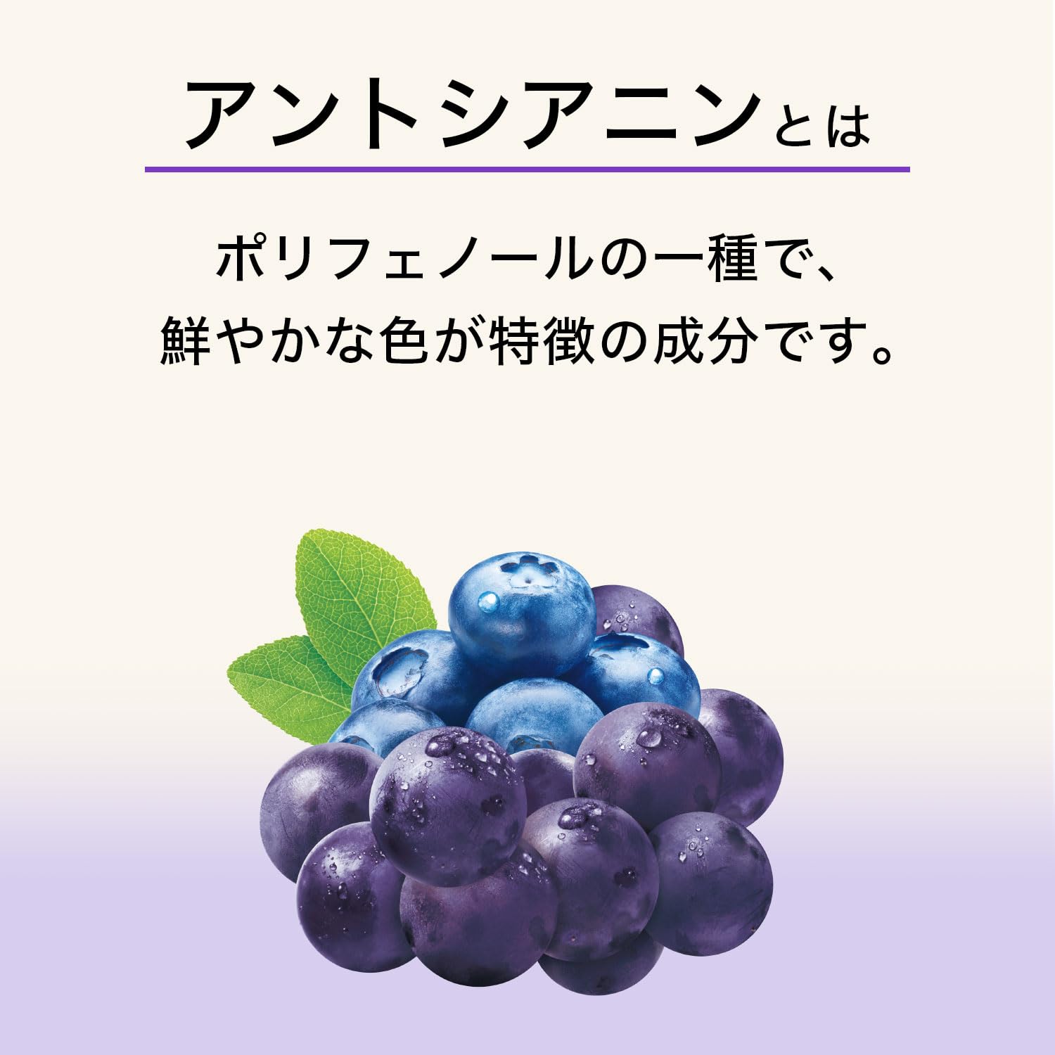 Amazon.co.jp: 伊藤園 ブルーベリーミックス 200ml エコパック (紙