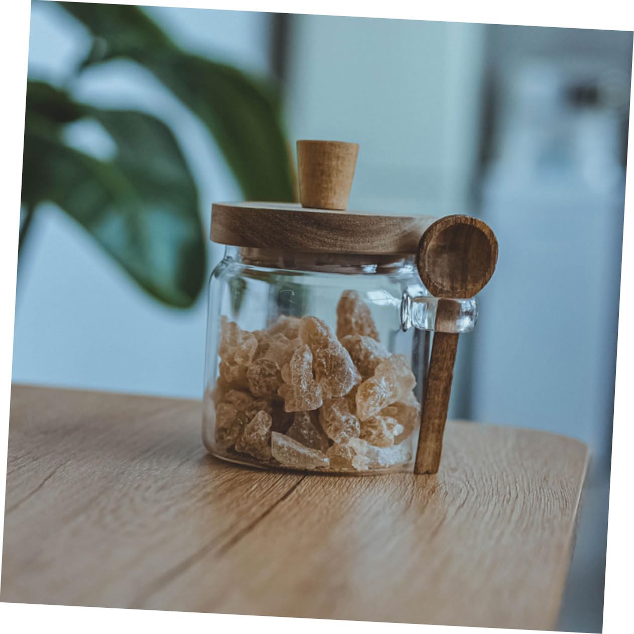 Gewürzbehälter 3 Stück aus Glas mit Holzdeckel und Löffel Luftdicht | Inhalt 850/550/400ml, Drei Größen, für Küche, Restaurant, Platzsparend, Schlichtes, Modernes Design