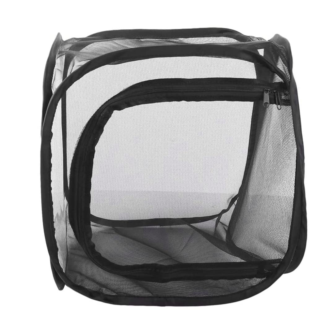 Habitat farfalla 15.8x15.8x23.6 pollici Net in gabbia di insetti trasparente con cerniera e maniglia HABAT FARFFIA ILRAR PORTATY ILR per allevare gli insetti, stile2