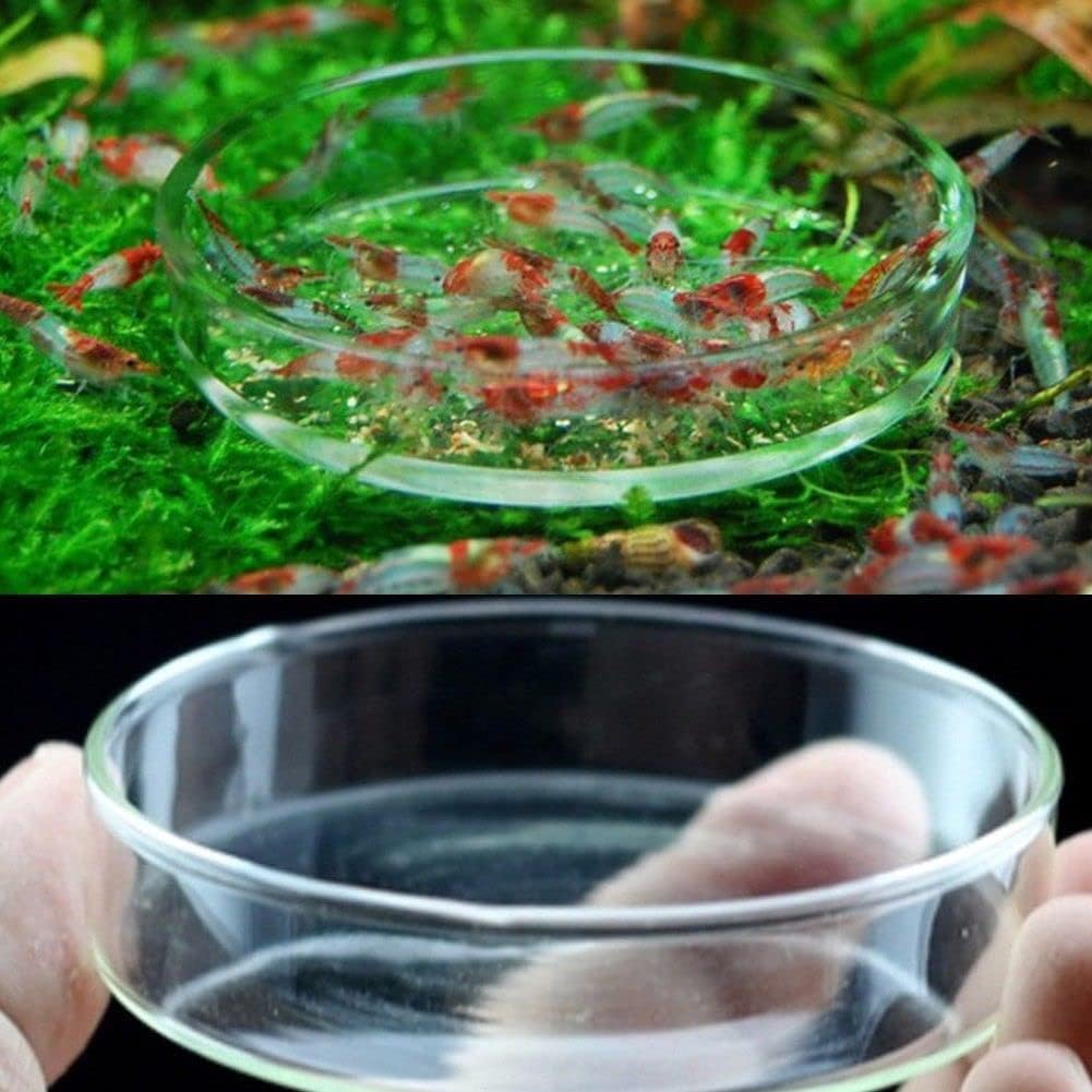 PetzLifeworld Glass Shrimp Feeding Tray