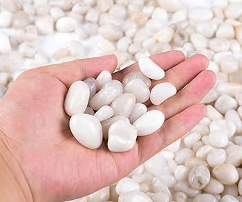 Amazon.co.jp: ROCKIMPACT 半透明 ホワイト小石 植物鉢 水族館 装飾