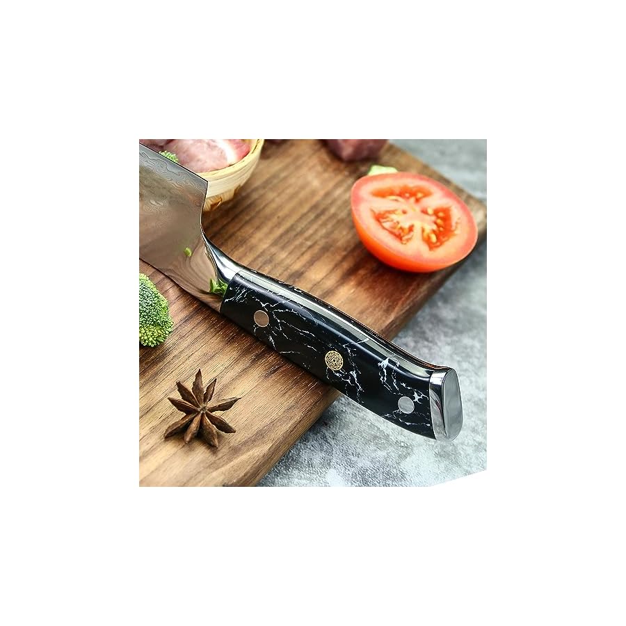 Seido Knives Takoizu 8" Gyuto Chef Knife - Black Damascus Steel with VG-10 Super Steel Blade and Strong Turquoise Black Handle