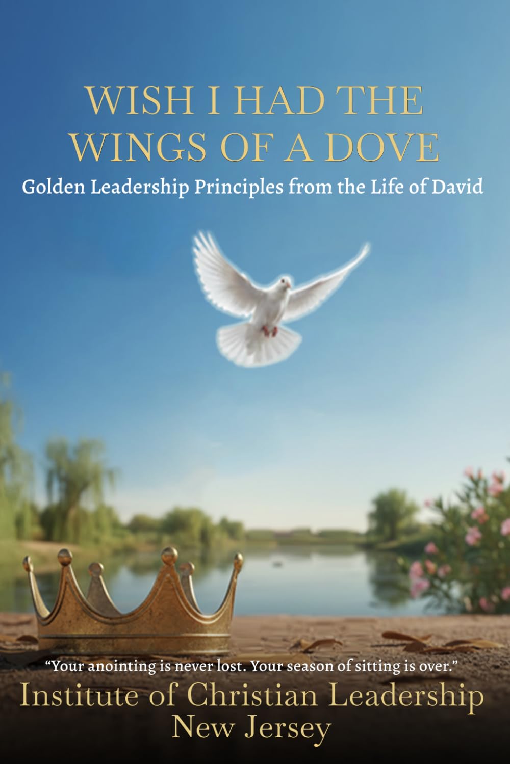 Wish I had the WINGS of the Dove.: Golden Leadership Principles from the Life of David