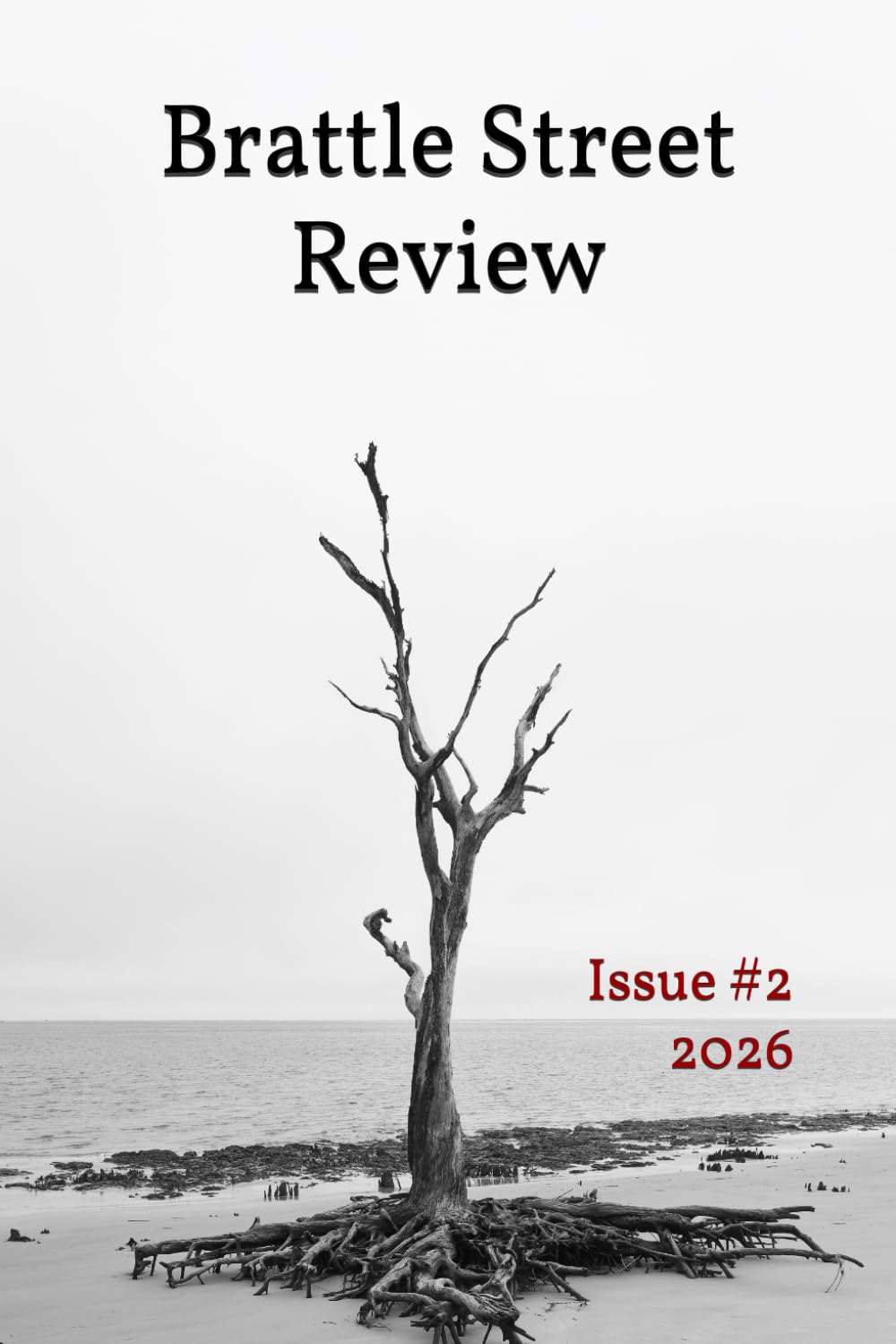 Brattle Street Review: Issue #2 2026