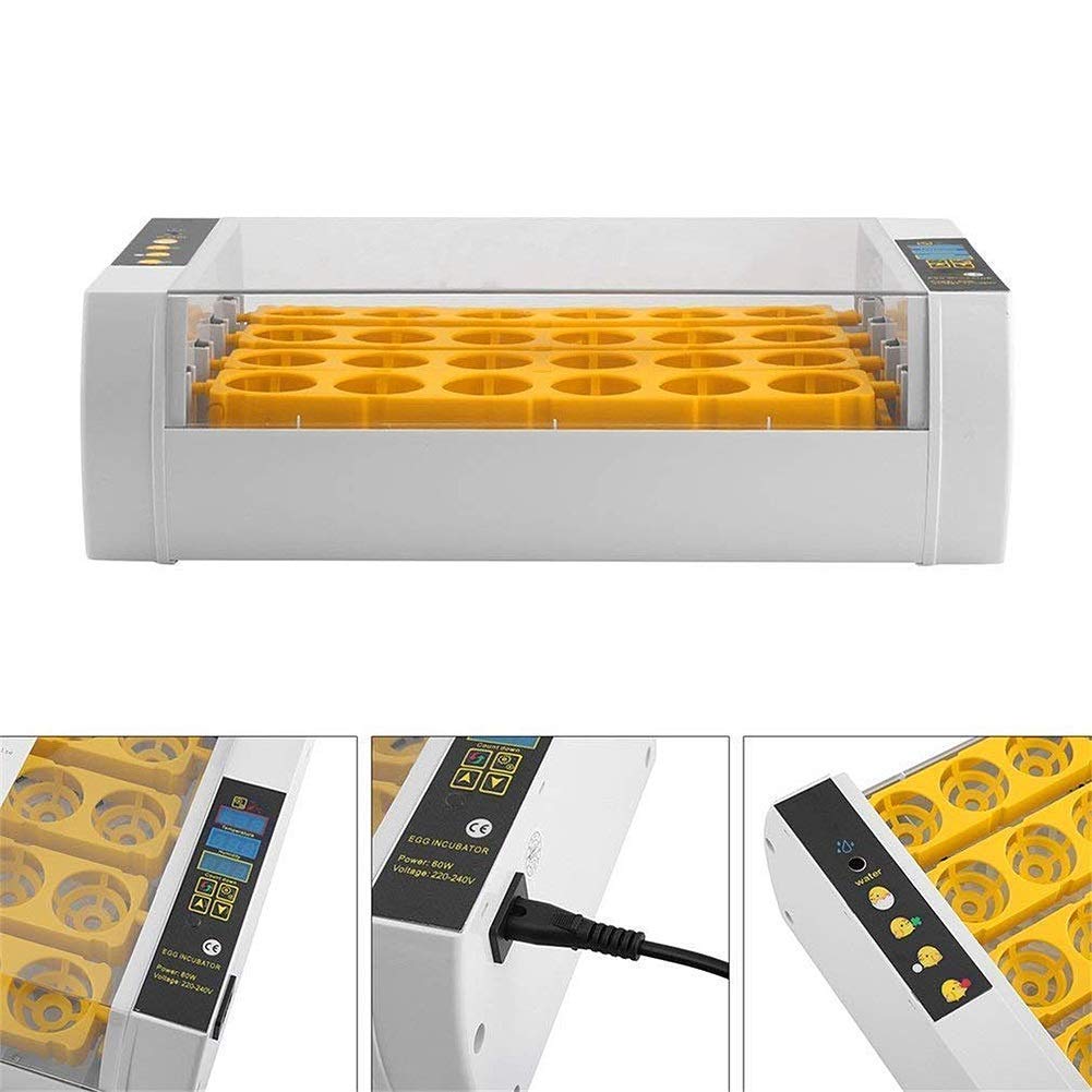 Incubadora De Huevos, Miniincubadora Digital Automática De 24 Huevos, Herramienta para Incubar Aves De Corral, Patos, Aves De Corral, Huevos De Gallina, Control De Temper