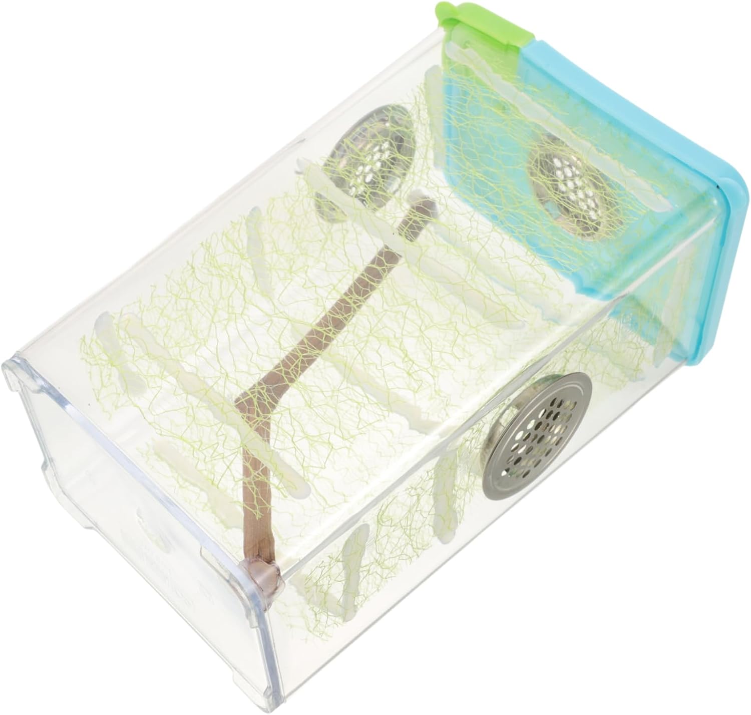 Mantis Habitat Feed Box for Stick Insects, Plastic Container