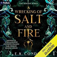 A Wrecking of Salt and Fire Audiolibro Por E.K. Condos arte de portada