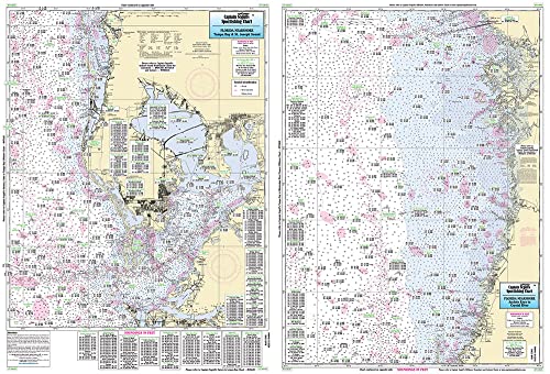 Tampa Bay to Crystal River, FL - Laminated Nautical Navigation & Fishing Chart by Captain Segull's Nautical Sportfishing Charts | Chart # TAM40