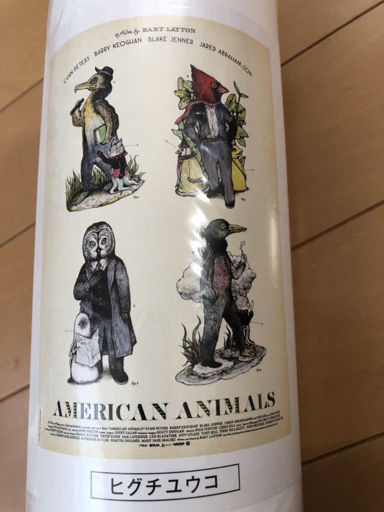 Amazon.co.jp: アメリカンアニマルズ ポスター B2 ヒグチユウコ : おもちゃ