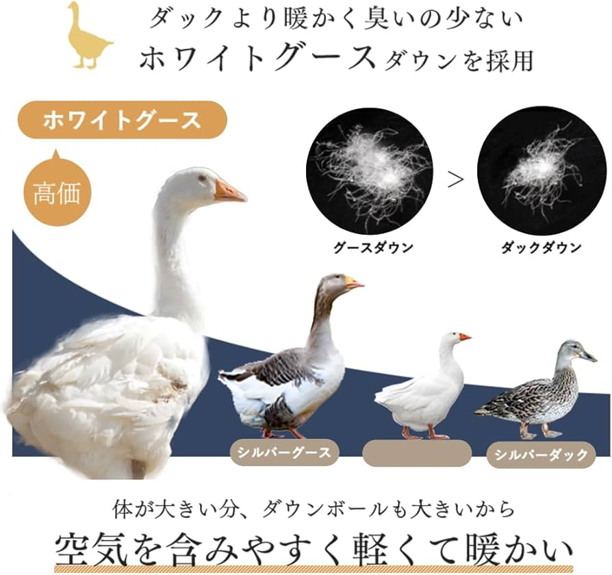 Amazon｜タンスのゲン 羽毛布団 シングル 日本製 充填量1.0kg ホワイト