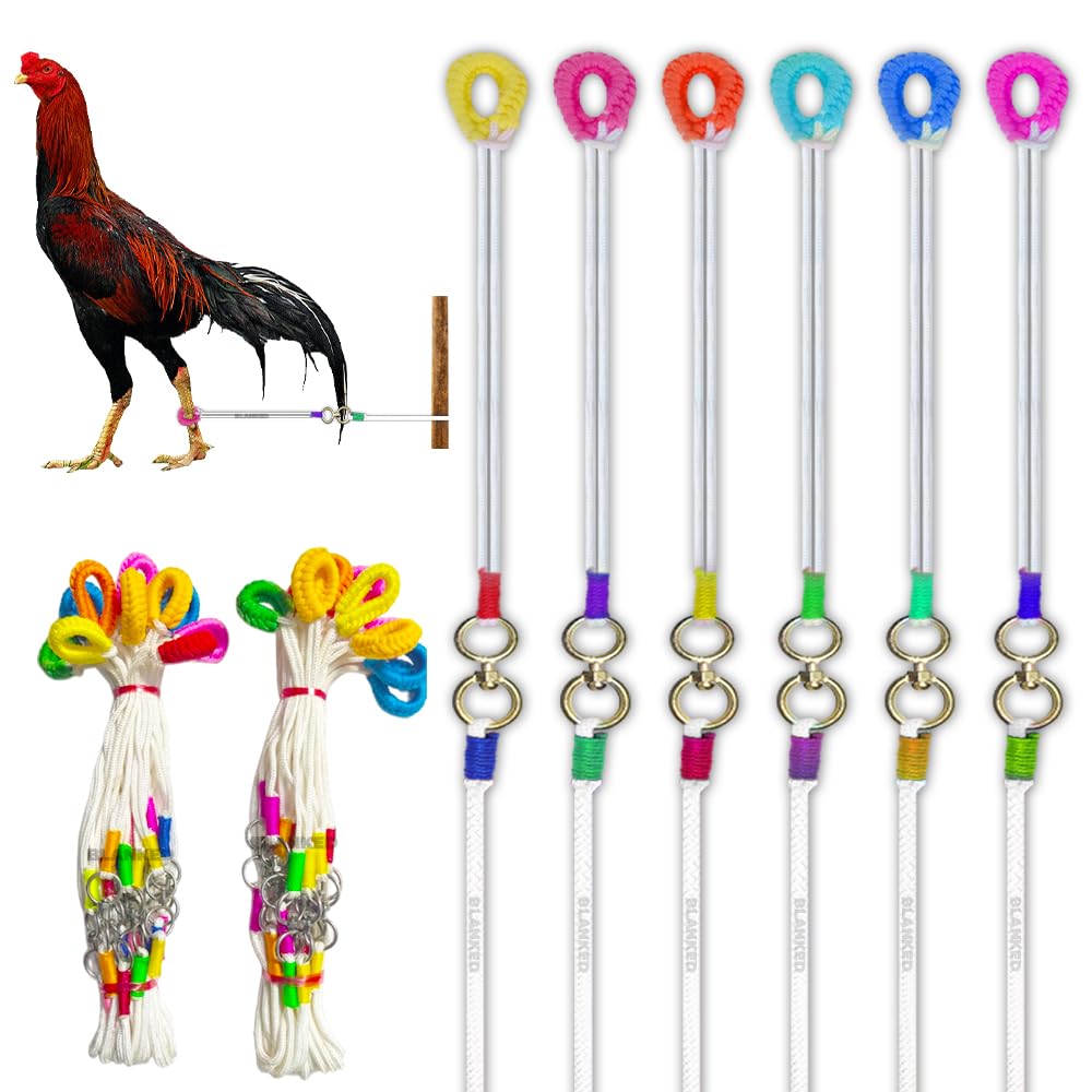 Rooster Rope Leash For Aseel (Pack Of 10)| Murgee Rope| Aseel Murgaa Fighter Rope| Asil Chicken Leg Nylon Rope| Poultry Accessories|(Multicolor), 53 Inch (B0CKLPVJK1) Amazon Price History, Amazon Price Tracker
