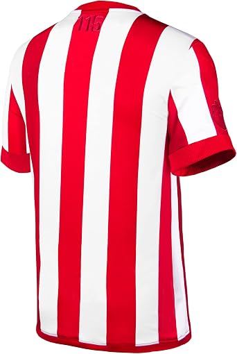 PUMA Chivas 115th Anniversary Home 