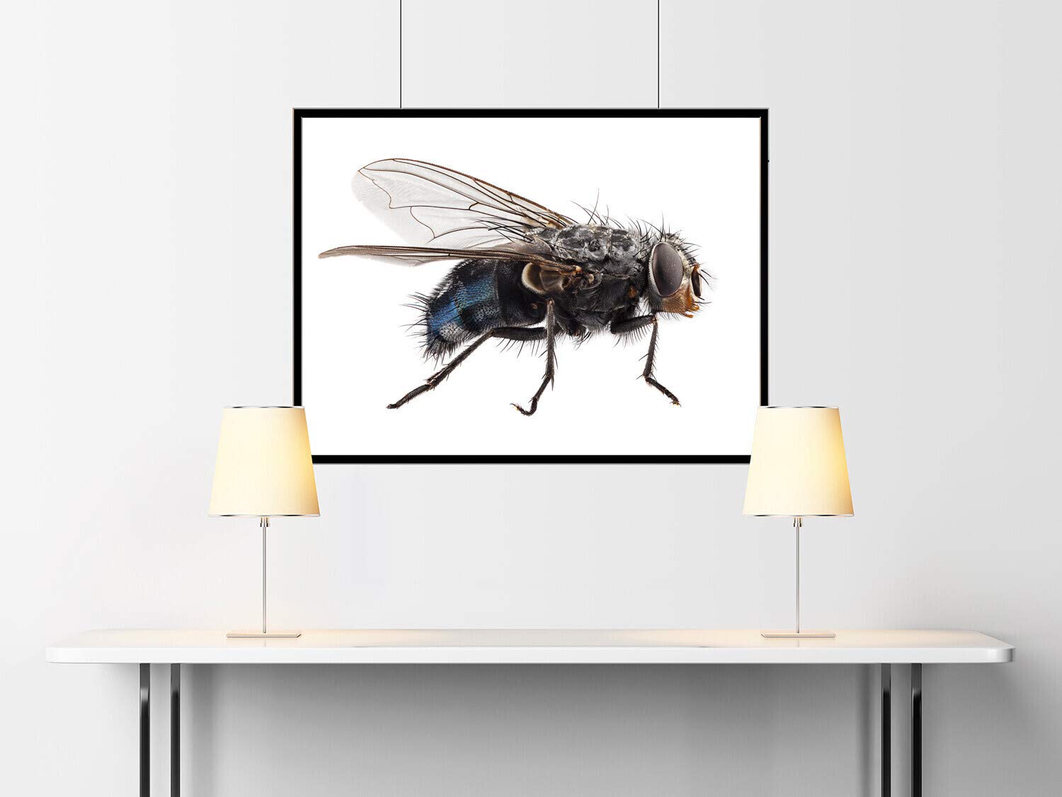 Plunger, Spring, Steel, Zinc, 1/2-13, PK5